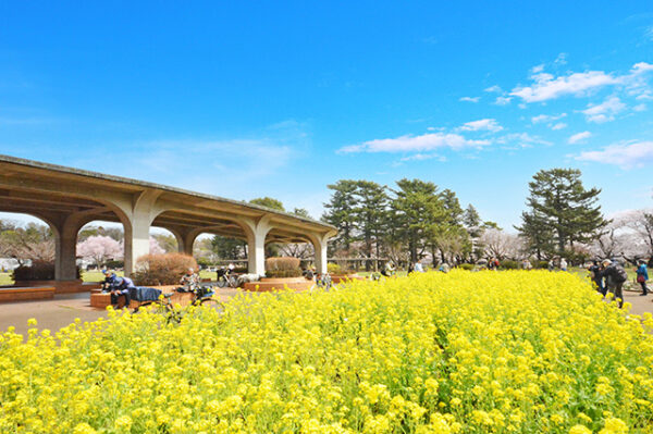 小金井公園